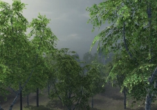 白桦树模型资源包Birch Trees Package updated