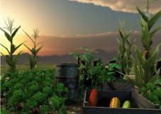 Unity3D Garden Vegetable Plants 花园蔬菜植物资源包 官方正品