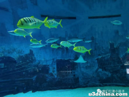 妈妈教我两个新游戏——沐沐说-20210112