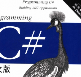 c#中文版电子书