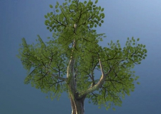 官方不错的树模型包Fantasy Tree Pack